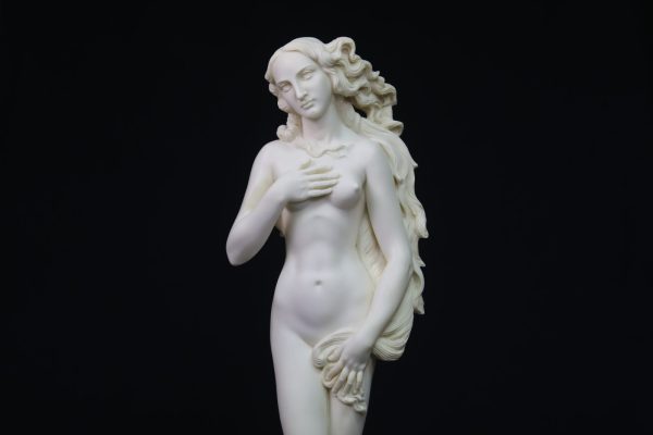 Venus by Botticelli - Image 4