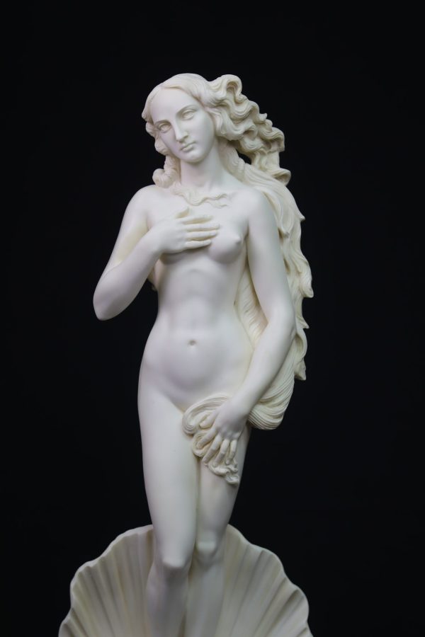 Venus by Botticelli - Image 5